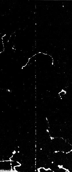 Beta particle tracks